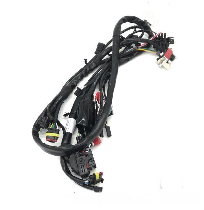 Main Wiring Harness