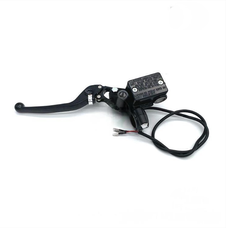 Master Cylinder & Rear Brake Lever