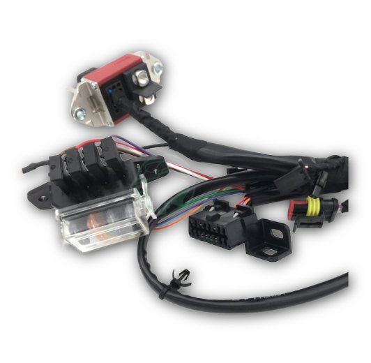 Main Electrical Harness